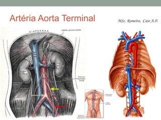 Artéria Aorta Terminal MSc. Romeiro, Caio A.P.
 