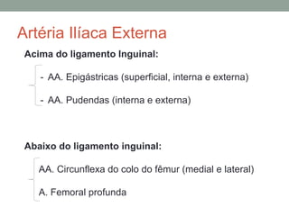 Artéria Ilíaca Externa
Acima do ligamento Inguinal:
- AA. Epigástricas (superficial, interna e externa)
- AA. Pudendas (interna e externa)
Abaixo do ligamento inguinal:
AA. Circunflexa do colo do fêmur (medial e lateral)
A. Femoral profunda
 