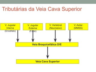 Veia Braquicefálica D/E
V. Jugular
Interna
(Encéfalo)
V. Jugular
Externa
(Face)
V. Vertebral
(Neuroeixo)
V. Axilar
(MMSS)
Tributárias da Veia Cava Superior
Veia Cava Superior
 