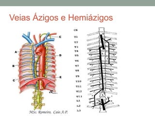 Veias Ázigos e Hemiázigos
MSc. Romeiro, Caio A.P.
 