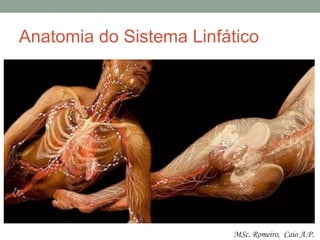 Anatomia do Sistema Linfático
MSc. Romeiro, Caio A.P.
 