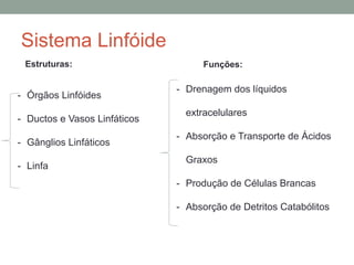 Sistema Linfóide
- Órgãos Linfóides
- Ductos e Vasos Linfáticos
- Gânglios Linfáticos
- Linfa
Estruturas: Funções:
- Drenagem dos líquidos
extracelulares
- Absorção e Transporte de Ácidos
Graxos
- Produção de Células Brancas
- Absorção de Detritos Catabólitos
 