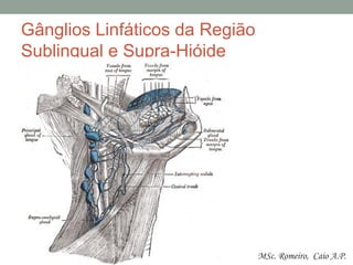 Gânglios Linfáticos da Região
Sublingual e Supra-Hióide
MSc. Romeiro, Caio A.P.
 