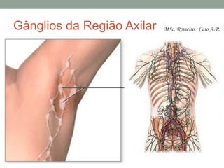 Gânglios da Região Axilar MSc. Romeiro, Caio A.P.
 