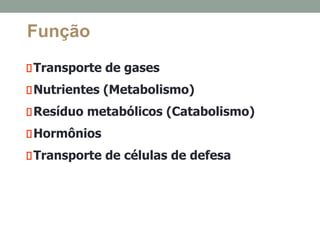 Função
Transporte de gases
Nutrientes (Metabolismo)
Resíduo metabólicos (Catabolismo)
Hormônios
Transporte de células de defesa
 