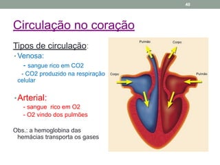 Circulação no coração
Tipos de circulação:
• Venosa:
- sangue rico em CO2
- CO2 produzido na respiração
celular
•Arterial:
- sangue rico em O2
- O2 vindo dos pulmões
Obs.: a hemoglobina das
hemácias transporta os gases
40
 