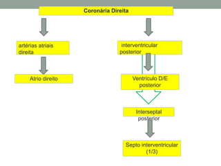 Ventrículo D/E
posterior
Coronária Direita
artérias atriais
direita
interventricular
posterior
Atrio direito
Septo interventricular
(1/3)
Interseptal
posterior
 