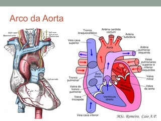 Arco da Aorta
MSc. Romeiro, Caio A.P.
 