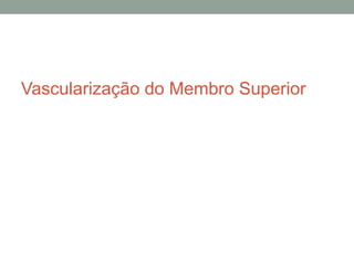 Vascularização do Membro Superior
 