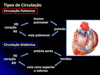 pulmão
Tipos de Circulação
veia cava superior
e inferior
tecidos
Circulação Pulmonar
VD
coração
veia pulmonar
tronco
pulmonar
AE
Circulação Sistêmica
VE
coração
AD
artéria aorta
 
