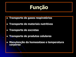 Função
 Transporte de gases respiratórios
 Transporte de materiais nutritivos
 Transporte de excretas
 Transporte de produtos celulares
 Manutenção da homeostase e temperatura
corpórea
 