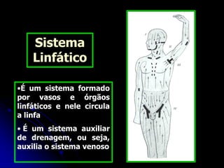 •É um sistema formado
por vasos e órgãos
linfáticos e nele circula
a linfa
• É um sistema auxiliar
de drenagem, ou seja,
auxilia o sistema venoso
Sistema
Linfático
 