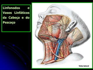 Linfonodos e
Vasos Linfáticos
da Cabeça e do
Pescoço
Vista lateral
 