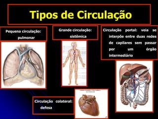 Tipos de Circulação
Pequena circulação:
pulmonar
Grande circulação:
sistêmica
Circulação colateral:
defesa
Circulação portal: veia se
interpõe entre duas redes
de capilares sem passar
por um órgão
intermediário
 