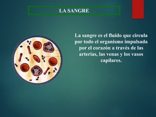 LA SANGRE
La sangre es el fluido que circula
por todo el organismo impulsada
por el corazón a través de las
arterias, las venas y los vasos
capilares.
 