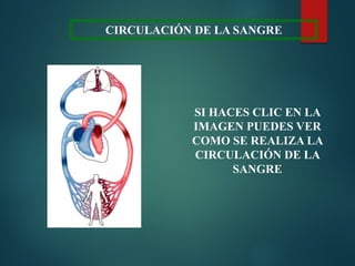 CIRCULACIÓN DE LA SANGRE
SI HACES CLIC EN LA
IMAGEN PUEDES VER
COMO SE REALIZA LA
CIRCULACIÓN DE LA
SANGRE
 
