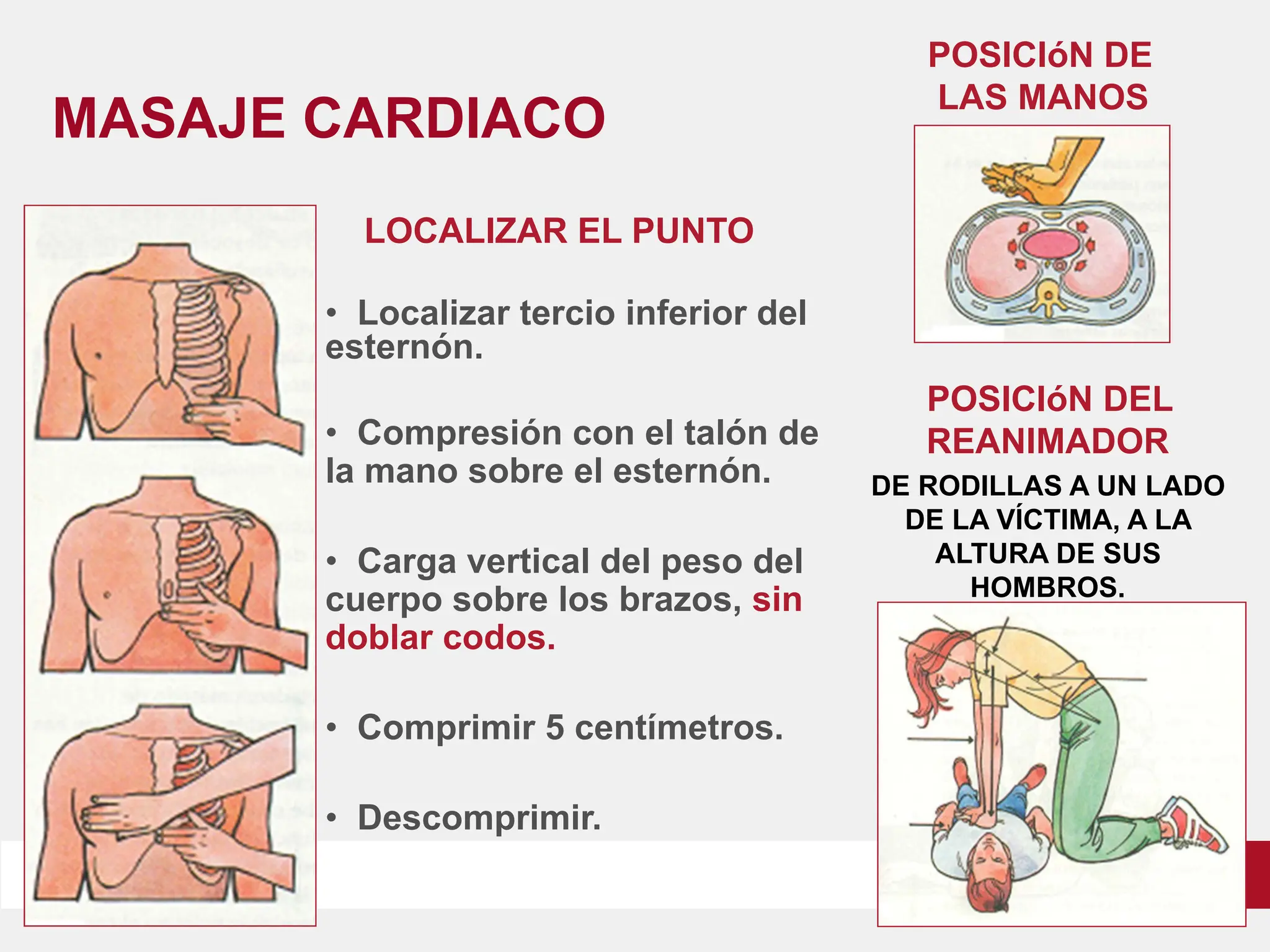 LOCALIZAR EL PUNTO
• Localizar tercio inferior del
esternón.
• Compresión con el talón de
la mano sobre el esternón.
• Carga vertical del peso del
cuerpo sobre los brazos, sin
doblar codos.
• Comprimir 5 centímetros.
• Descomprimir.
MASAJE CARDIACO
POSICIóN DEL
REANIMADOR
DE RODILLAS A UN LADO
DE LA VÍCTIMA, A LA
ALTURA DE SUS
HOMBROS.
POSICIóN DE
LAS MANOS
 