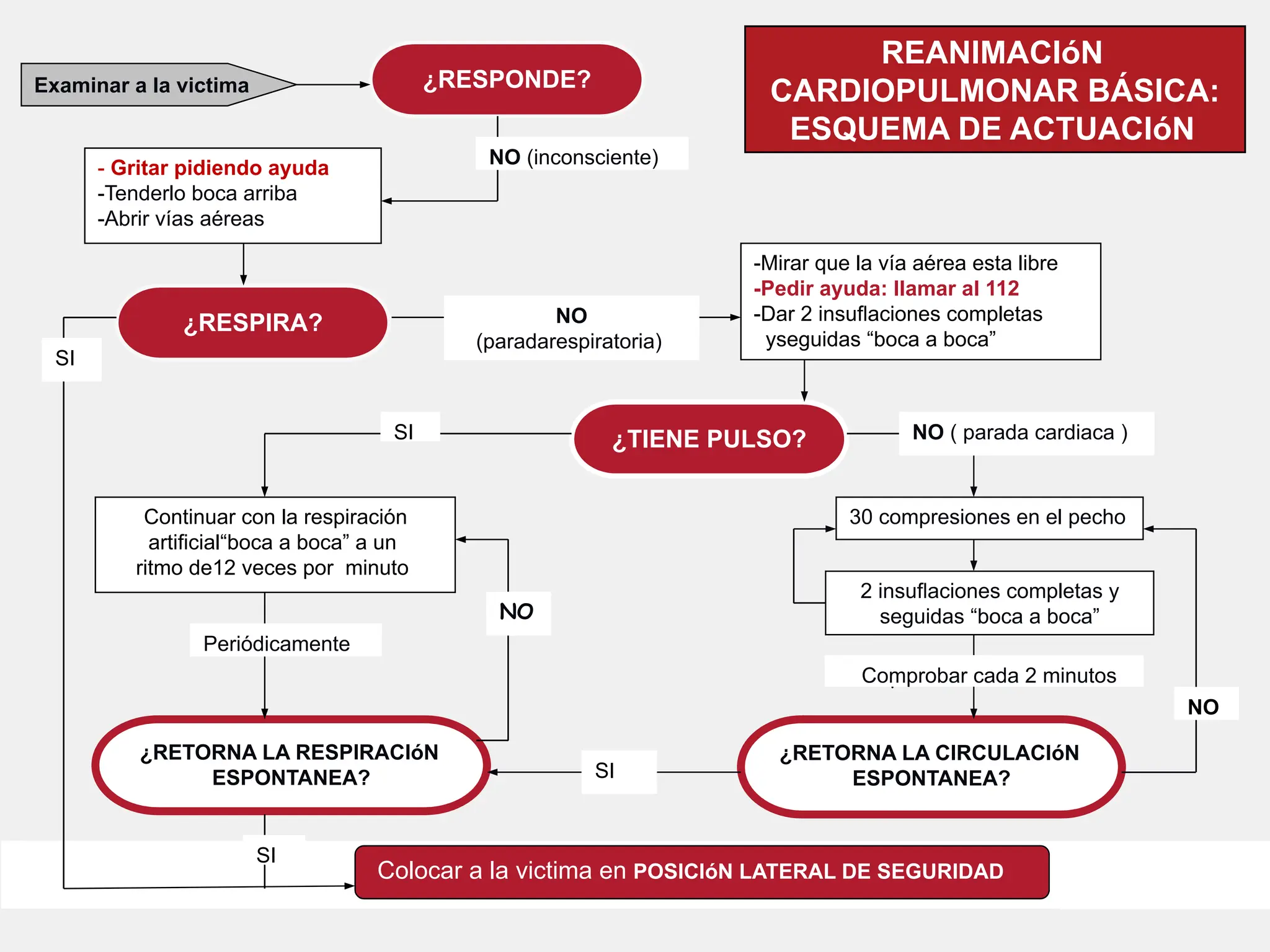 -Mirar que la vía aérea esta libre
-Pedir ayuda: llamar al 112
-Dar 2 insuﬂaciones completas
yseguidas “boca a boca”
¿RESPIRA?
¿TIENE PULSO?
¿RETORNA LA RESPIRACIóN
ESPONTANEA?
¿RETORNA LA CIRCULACIóN
ESPONTANEA?
- Gritar pidiendo ayuda
-Tenderlo boca arriba
-Abrir vías aéreas
¿RESPONDE?
2 insuﬂaciones completas y
seguidas “boca a boca”
30 compresiones en el pecho
Colocar a la victima en POSICIóN LATERAL DE SEGURIDAD
Continuar con la respiración
artiﬁcial“boca a boca” a un
ritmo de12 veces por minuto
REANIMACIóN
CARDIOPULMONAR BÁSICA:
ESQUEMA DE ACTUACIóN
NO (inconsciente)
Examinar a la victima
NO
(paradarespiratoria)
Periódicamente
SI
SI
SI
SI
NO
NO ( parada cardiaca )
NO
Comprobar cada 2 minutos
Comprobar cada 2 minutos
 