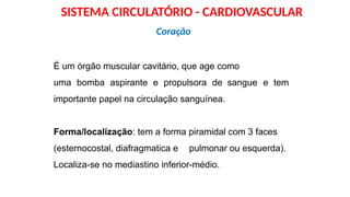 É um órgão muscular cavitário, que age como
uma bomba aspirante e propulsora de sangue e tem
importante papel na circulação sanguínea.
Forma/localização: tem a forma piramidal com 3 faces
(esternocostal, diafragmatica e pulmonar ou esquerda).
Localiza-se no mediastino inferior-médio.
Coração
SISTEMA CIRCULATÓRIO - CARDIOVASCULAR
 