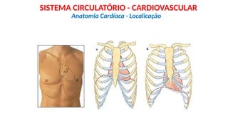 Anatomia Cardíaca - Localicação
SISTEMA CIRCULATÓRIO - CARDIOVASCULAR
 