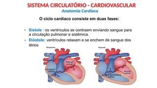 O ciclo cardíaco consiste em duas fases:
• Sístole : os ventrículos se contraem enviando sangue para
a circulação pulmonar e sistêmica.
Diástole: ventrículos relaxam e se enchem de sangue dos
•
átrios
Anatomia Cardíaca
SISTEMA CIRCULATÓRIO - CARDIOVASCULAR
 