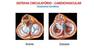 Sistole Diástole
Anatomia Cardíaca
SISTEMA CIRCULATÓRIO - CARDIOVASCULAR
 