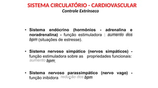 aumento
: redução dos
• Sistema endócrino (hormônios - adrenalina e
noradrenalina) - função estimuladora : aumento dos
bpm (situações de estresse).
• Sistema nervoso simpático (nervos simpáticos) -
função estimuladora sobre as
bpm;
propriedades funcionais:
• Sistema nervoso parassimpático
bpm
(nervo vago) -
função inibidora
Controle Extrínseco
SISTEMA CIRCULATÓRIO - CARDIOVASCULAR
 