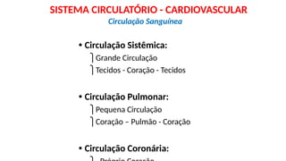 • Circulação Sistêmica:
⎫Grande Circulação
⎫Tecidos - Coração - Tecidos
• Circulação Pulmonar:
⎫Pequena Circulação
⎫Coração – Pulmão - Coração
• Circulação Coronária:
Circulação Sanguínea
SISTEMA CIRCULATÓRIO - CARDIOVASCULAR
 