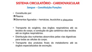 •


Constituído por:
Plasma
Elementos figurados – hemácias, leucócitos e plaquetas
• Transporte do oxigênio, dos órgãos respiratórios até os
tecidos do corpo, e condução do gás carbônico dos tecidos
até os órgãos respiratórios.
Distribuição dos nutrientes absorvidos pelas vias digestivas
para todas as células do corpo.
•
• Transporte dos produtos finais do metabolismo até os
órgãos especializados de excreção.
Sangue – Constituição/Funções
SISTEMA CIRCULATÓRIO - CARDIOVASCULAR
 