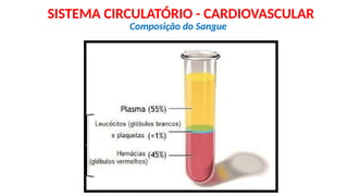 Composição do Sangue
SISTEMA CIRCULATÓRIO - CARDIOVASCULAR
 