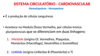 • É a produção de células sanguíneas
• Acontece na Medula Óssea Vermelha, por células-tronco
pluripotenciais que se diferenciam em duas linhagens:
1. Mielóide (origina Gl. Vermelhos, Plaquetas,
Monócitos (Macrófago), Neutrófilos e Eosinófilos)
2. Linfóide (origina Linfócitos B (Plasmócito) e T)
Hematopoiese - Hemopoiese
SISTEMA CIRCULATÓRIO - CARDIOVASCULAR
 