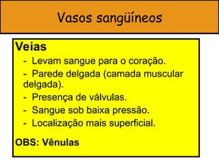 Vasos sangüíneos
Veias
- Levam sangue para o coração.
- Parede delgada (camada muscular
delgada).
- Presença de válvulas.
- Sangue sob baixa pressão.
- Localização mais superficial.
OBS: Vênulas
 