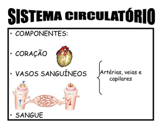 • COMPONENTES:
• CORAÇÃO
• VASOS SANGUÍNEOS
• SANGUE
Artérias, veias e
capilares
 