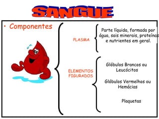 • Componentes
PLASMA
ELEMENTOS
FIGURADOS
Glóbulos Brancos ou
Leucócitos
Glóbulos Vermelhos ou
Hemácias
Plaquetas
Parte líquida, formada por
água, sais minerais, proteínas
e nutrientes em geral.
 
