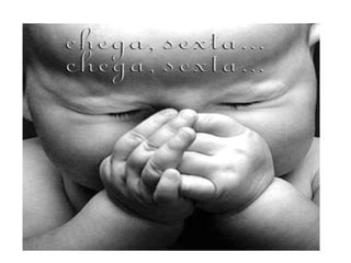 sistema circulatorio e sua principal funçao