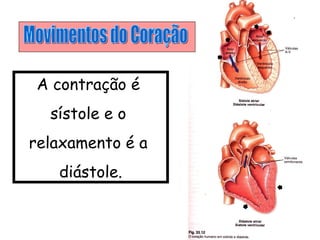 A contração é
sístole e o
relaxamento é a
diástole.
 