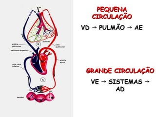 PEQUENA
PEQUENA
CIRCULAÇÃO
CIRCULAÇÃO
VD
VD →
→ PULMÃO AE
→
PULMÃO AE
→
GRANDE CIRCULAÇÃO
GRANDE CIRCULAÇÃO
VE SISTEMAS
→ →
VE SISTEMAS
→ →
AD
AD
 