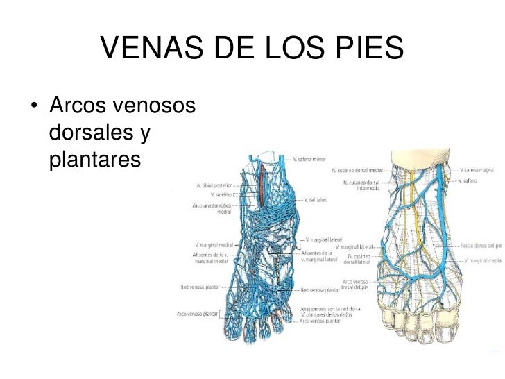 Los medicamentos a la trombosis de las venas profundas de las extremidades inferiores