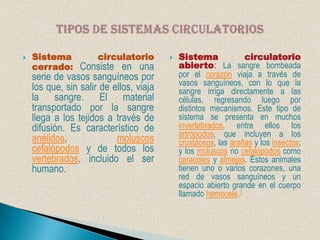 Sistema circulatorio cerrado: Consiste en una serie de vasos sanguíneos por los que, sin salir de ellos, viaja la sangre. El material transportado por la sangre llega a los tejidos a través de difusión. Es característico de anélidos, moluscoscefalópodos y de todos los vertebrados, incluido el ser humano.Sistema circulatorio abierto: La sangre bombeada por el corazón viaja a través de vasos sanguíneos, con lo que la sangre irriga directamente a las células, regresando luego por distintos mecanismos. Este tipo de sistema se presenta en muchos invertebrados, entre ellos los artrópodos, que incluyen a los crustáceos, las arañas y los insectos; y los moluscos no cefalópodos como caracoles y almejas. Estos animales tienen uno o varios corazones, una red de vasos sanguíneos y un espacio abierto grande en el cuerpo llamado hemocele.1Tipos de sistemas circulatorios