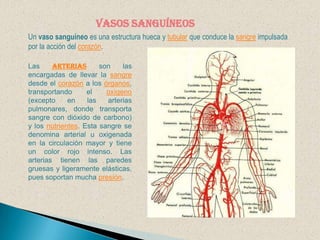 Las válvulas cardíacas son las estructuras que separan unas cavidades de otras, evitando que exista reflujo retrógrado asi tenemos: