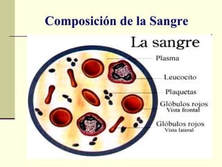 Composición de la Sangre 