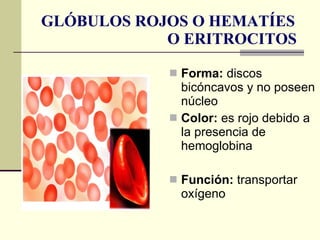 GLÓBULOS ROJOS O HEMATÍES   O ERITROCITOS Forma:  discos bicóncavos y no poseen núcleo  Color:  es rojo debido a la presencia de hemoglobina Función:  transportar oxígeno 