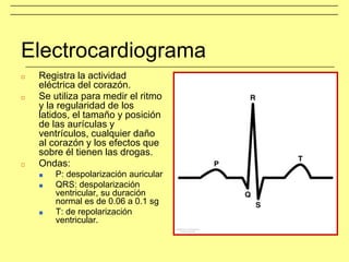 Electrocardiograma
□ Registra la actividad
eléctrica del corazón.
□ Se utiliza para medir el ritmo
y la regularidad de los
latidos, el tamaño y posición
de las aurículas y
ventrículos, cualquier daño
al corazón y los efectos que
sobre él tienen las drogas.
□ Ondas:
■ P: despolarización auricular
■ QRS: despolarización
ventricular, su duración
normal es de 0.06 a 0.1 sg
■ T: de repolarización
ventricular.
 