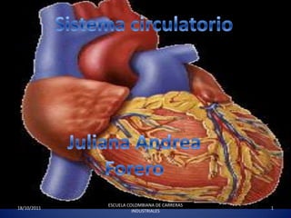 17/10/2011 1 ESCUELA COLOMBIANA DE CARRERAS INDUSTRIALES Sistema circulatorio Juliana Andrea  Forero 