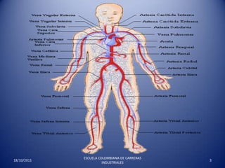 17/10/20113ESCUELA COLOMBIANA DE CARRERAS INDUSTRIALES