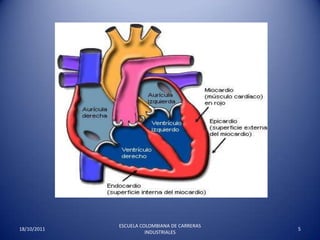 17/10/20115ESCUELA COLOMBIANA DE CARRERAS INDUSTRIALES