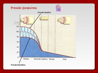 Pressão Sanguínea
Pressão Sistólica
Pressão Diastólica
 