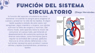 la función del aparato circulatorio es clave:
mantener circulando la sangre para oxigenar el
cuerpo y preservar la vida de los tejidos. Si algún
tejido quedara aislado de esta vasta red
sanguínea, algún miembro u órgano, sus células
sufrirían la falta de oxígeno y morirían. Del
mismo modo, este aparato tiene la misión de
comunicar el cuerpo todo, permitiendo el
desplazamiento de sustancias químicas de
diversa naturaleza, como hormonas (para
regular la actividad del cuerpo), glóbulos
blancos (y otras células defensivas), o los
nutrientes necesarios para producir nuevas
células y tejidos (carbohidratos, proteínas y
lípidos
FUNCIÓN DEL SISTEMA
CIRCULATORIO (Diego Hernández
 