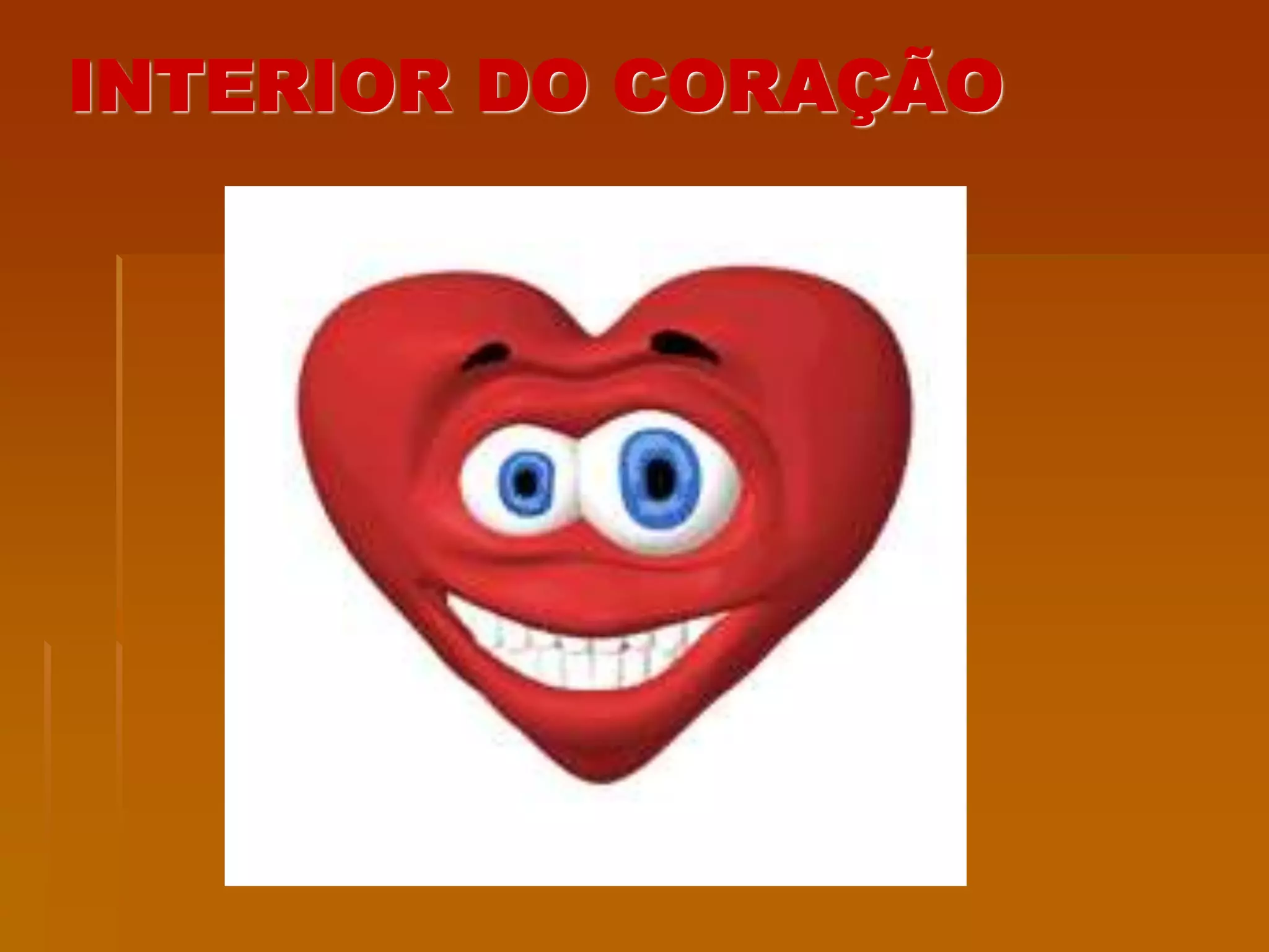 INTERIOR DO CORAÇÃO
 