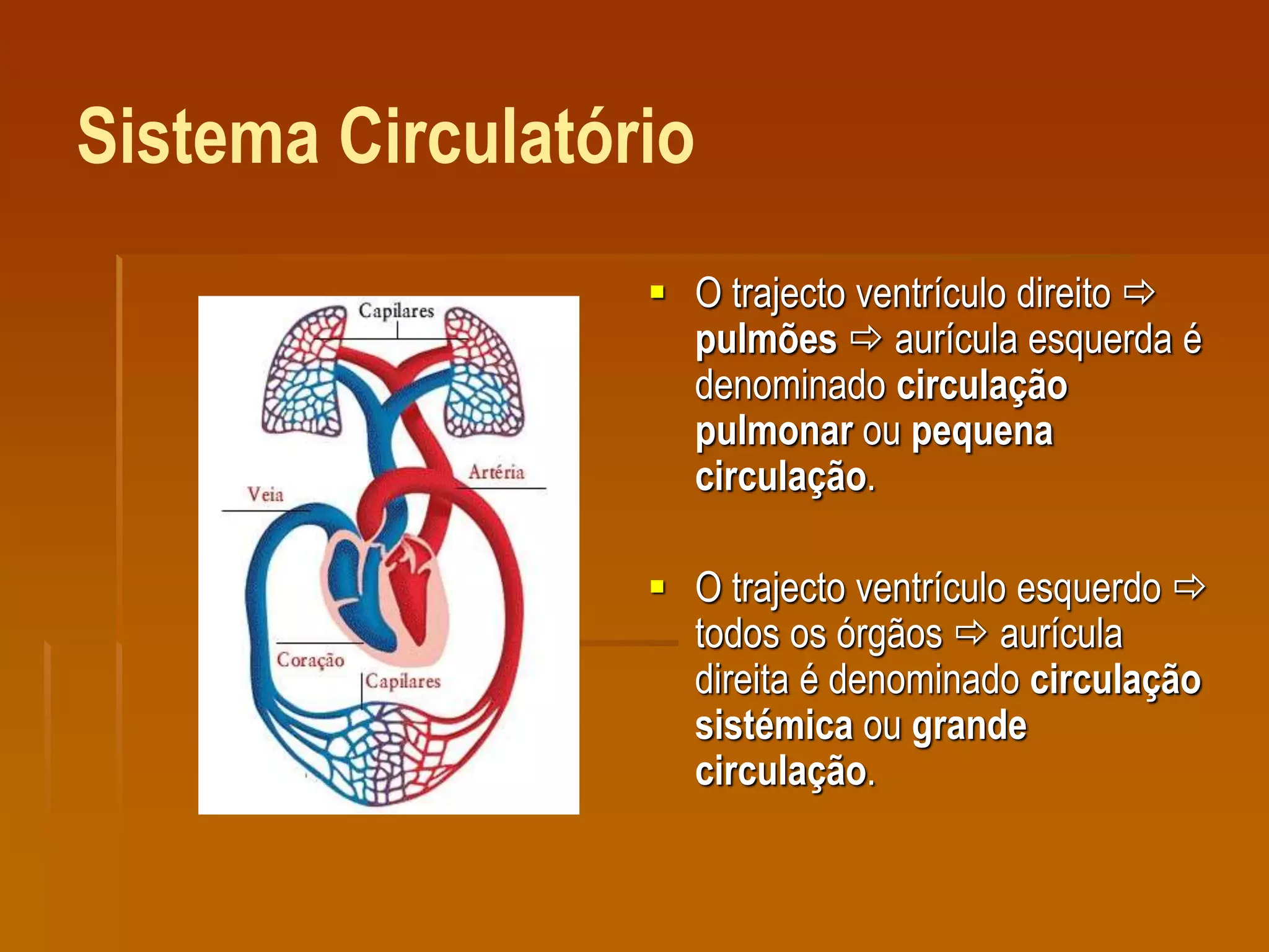 Sistema Circulatório
 O trajecto ventrículo direito 
pulmões  aurícula esquerda é
denominado circulação
pulmonar ou pequena
circulação.
 O trajecto ventrículo esquerdo 
todos os órgãos  aurícula
direita é denominado circulação
sistémica ou grande
circulação.
 